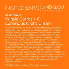 Load image into Gallery viewer, Andalou Natural Purple Carrot + C Luminous Night Cream, 1.7 Ounce
